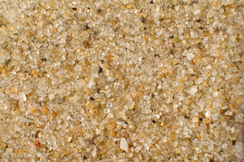 Nederland, Noord-Holland, Texel